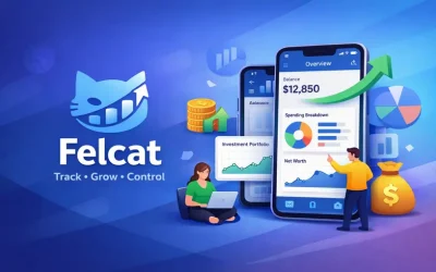 Felcat Fintech